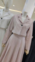 Stripes Collar Down Crop Blazer With Skirts Sets